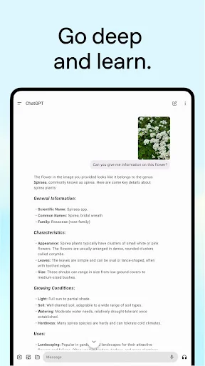 Descarga ChatGPT para Android: Tu Asistente IA Inteligente - Screenshot 10