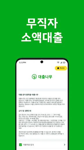 Descargar 대출나무 – Préstamos Rápidos y Seguros para Desempleados - Screenshot 2