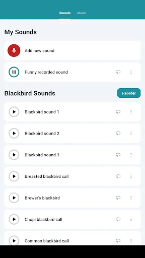 Descarga Blackbird Sounds: Melodías de Naturaleza Gratis - Screenshot 7