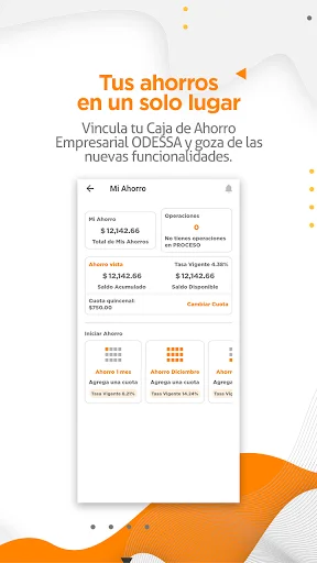 Descarga ODESSAPP APK: Gestión Financiera Eficiente – Última Versión - Screenshot 2