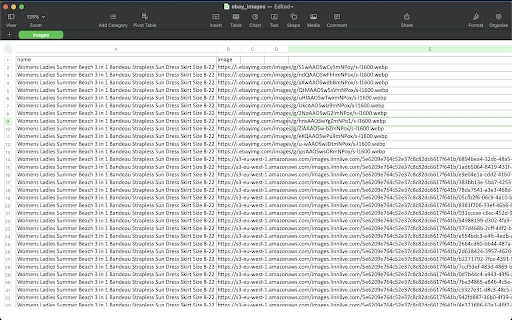 eBay Image Downloader: Descarga Imágenes y Videos en Bulk - Screenshot 4