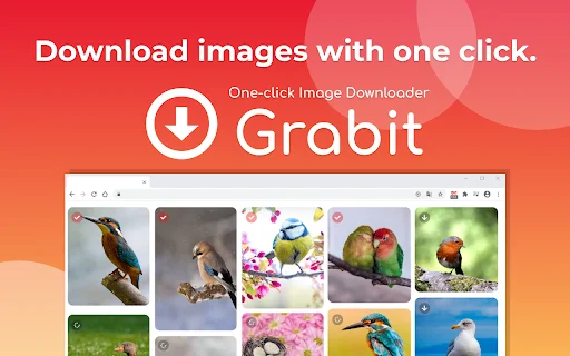 Grabit: Descargador de Imágenes para Chrome – Descarga Rápida - Screenshot 1