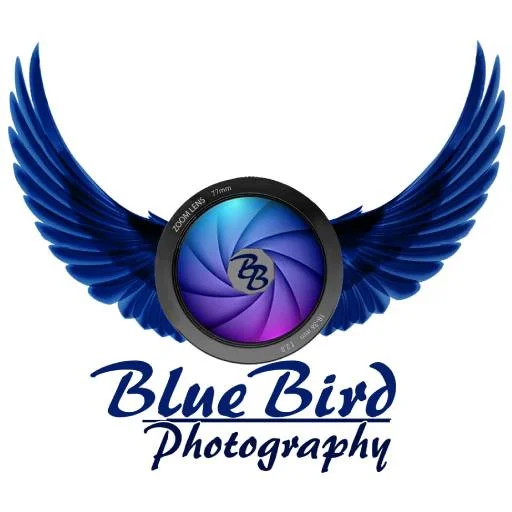 Bluebird Photography: Selección y Reservas de Fotos – Descarga