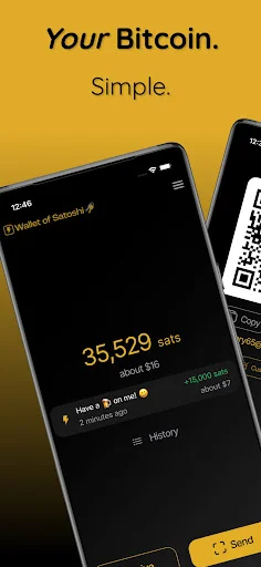 Wallet of Satoshi: La Billetera Lightning de Bitcoin más Sencilla - Screenshot 1