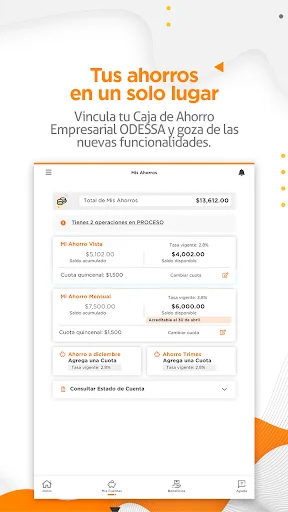 Descarga ODESSAPP APK: Gestión Financiera Eficiente – Última Versión - Screenshot 12