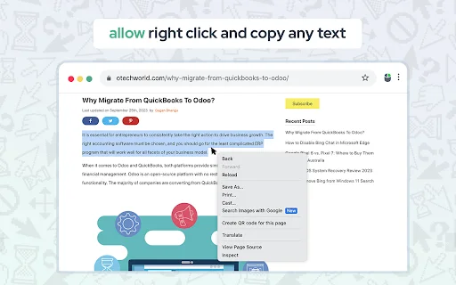 Allow Copy: Habilita el clic derecho y copiar en cualquier sitio web - Screenshot 1