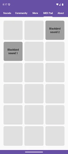 Descarga Blackbird Sounds: Melodías de Naturaleza Gratis - Screenshot 5