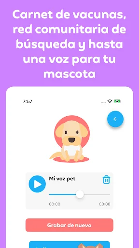Qrarte: Conecta tu Historia a través de Arte y Códigos QR - Screenshot 11