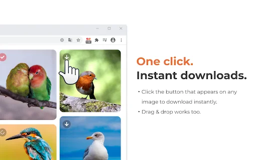 Grabit: Descargador de Imágenes para Chrome – Descarga Rápida - Screenshot 2