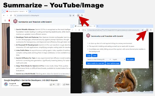 Summarize and Translate with Gemini: Resúmenes IA Rápidos - Screenshot 2