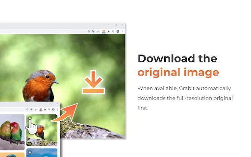 Grabit: Descargador de Imágenes para Chrome – Descarga Rápida - Screenshot 3