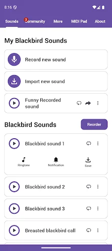 Descarga Blackbird Sounds: Melodías de Naturaleza Gratis - Screenshot 1