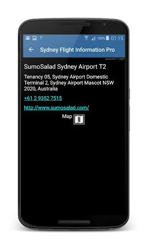 Orlando Airport Flight Info: Tu Guía de Vuelos en Tiempo Real - Screenshot 5